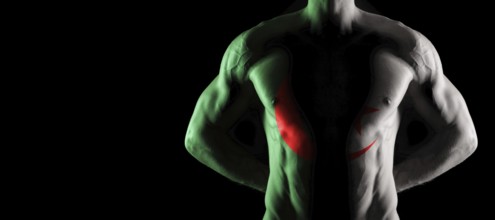 Algeria flag on muscled male torso with abs, black background