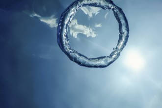 Bubble Ring Underwater ascends towards the Sun