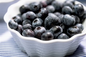 Blueberries in a small white bowl on a light blue background, close up