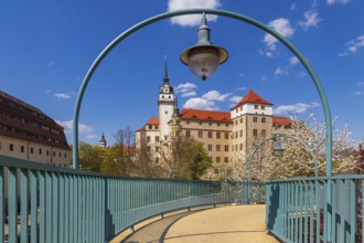 Torgau