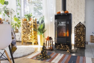 Bright sunny interior of the house with Black Metal Steel fireplace stove with fire and firewood