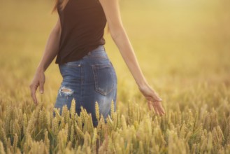 Woman enjoy sunset in wheat field