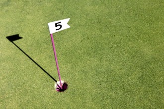 Hole marked with small flag at the mini golf area. Number flag on a mini golf course