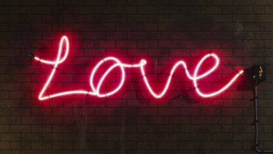Love sign neon letters at a brick wall 3D illustration