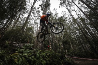MAYDENA, AUSTRALIA, FEBRUARY 23: Riders during seeding in Red Bull Hardline Tasmania on February