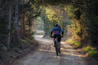 Mountain biker on the greenway Sant Francesc-La Mola, Formentera, Pitiusas Islands, Balearic