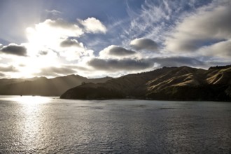 Ferry View Wellington New Zealand to South Island