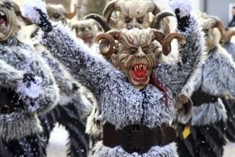 Large Swabian-Alemannic carnival parade