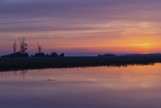 Biebrza National Park, sunrise, morning mood, wetland, river, Poland, Europe
