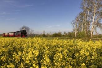 Selketal railway between Quedlinburg and Gernrode