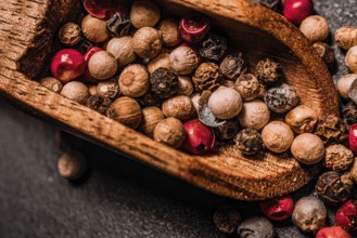 Different kind of peppercorns in a wooden spoon