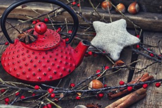 Red iron kettle custard, cinnamon and hazelnut with branches with red berries