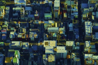 Tokyo cityscape (shooting from Tokyo Sky Tree). Shooting Location: Sumida Ward, Tokyo