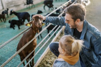 Little girl stands next to her dad stroking a goat head poking out over a pen fence.
