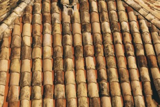 The texture of the old brown shingles on the roof of the building.