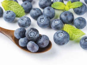 Freshly picked blueberries in wooden spoon closeup. Ripe and juicy fresh blueberries with green