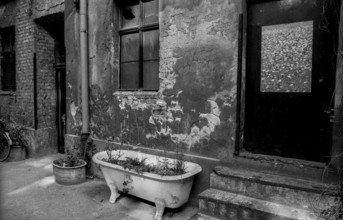 Germany, Berlin, 21.04.1991, backyard in Oderberger Straße, planted bathtub, Europe