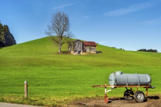 Barn on a green meadow, water tank as a cattle trough, blue sky, near Muderbolz Allgäu, Bavaria,