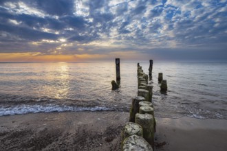 Groynes on the coast of the Baltic Sea near Graal Müritz