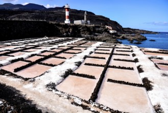 Picture Photo of Salt Flats in the Canry islands
