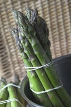 A bunch of green asparagus in a saucepan