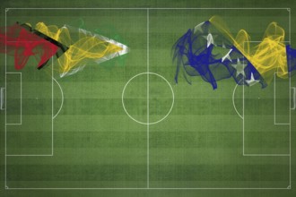 Guyana vs Bosnia and Herzegovina Soccer Match, national colors, national flags, soccer field,