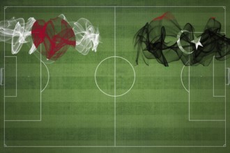 Japan vs Libya Soccer Match, national colors, national flags, soccer field, football game,