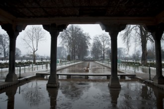 Snowfall, shalimar garden, srinagar, kashmir, india, asia