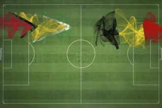 Guyana vs Belgium Soccer Match, national colors, national flags, soccer field, football game,