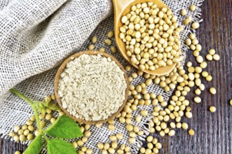 Soy flour in the bowl, soybeans in a spoon and on sackcloth, green soya leaf on a wooden board