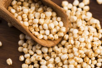 Quinoa popping