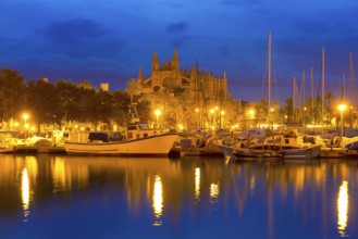 Palma de Mallorca sunrise with Cathedral and port in Majorca Balearic islands of spain