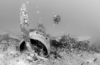 Nakajima B5N2 Kate torpedo bomber and diver, Papua New Guinea, New Ireland, Kavieng, Oceania