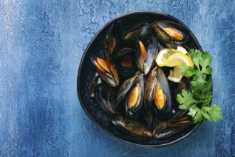 Mussels in shells, boiled in their own juice, in a bowl, blue background, top view, homemade, no