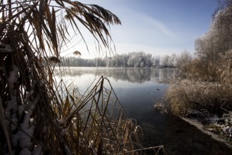 Winter landscape 2