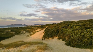Florianópolis, Campeche beach during sunrise. Brazil. Rio Tavares neighborhood