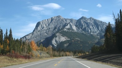 Motorway