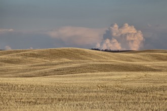 Prairie Storm Clouds rural Saskatchewan Canada Spring