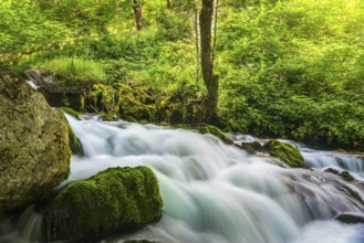 Fast river flowing in the forest of Montenegro