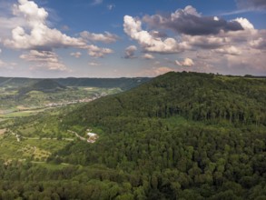 Forest landscape from the air