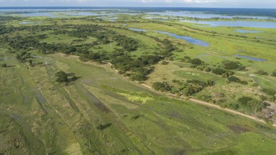 Areal view of green rural landscape with lakes and waterways near Mompos, Colombia, South America