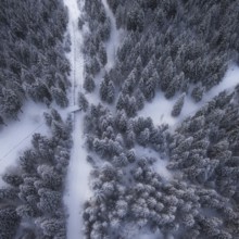 Aerial point of view of road in idyllic winter landscape. from a birds eye view