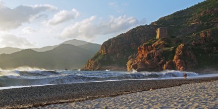 Surf waves on the beach of Porto, Corsica