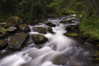 Tefafallet waterfall near the Swedish village Ljusnedal