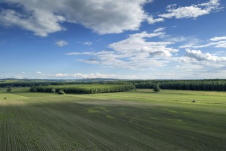 Aerial view of agricultural fields. Countryside, Agricultural Landscape Aerial view