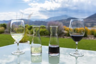 Small decanters and glasses filled with red and white wines on a glass table, wine tasting stemware
