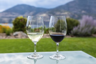 Pair of wine glasses filled with red and white wines, selective focus and close up view against