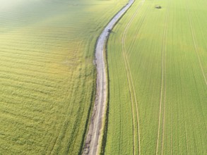 Aerial view farm field, Lion's Mound, Battle field, Napoleon, Waterloo, Belgium, Green and sky,