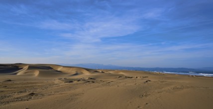 Delta del Ebro Ebre beach Punta del Fangar in Tarragona Costa Dorada Deltebre