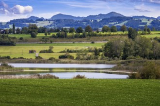 Niedersonthofener See, an idyllic lake in the Allgäu (Bavaria, Germany)